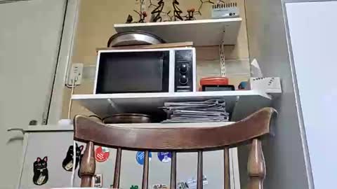 Snapshot of robke1966 chatting on January 21, 11:46 am robke1966 online show from January 21, 11:46 am