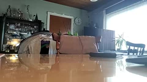 Snapshot of robke1966 chatting on January 22, 11:56 am robke1966 online show from January 22, 11:56 am