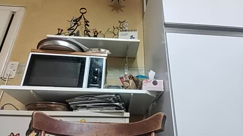 Snapshot of robke1966 chatting on December 23, 7:06 am robke1966 online show from December 23, 7:06 am