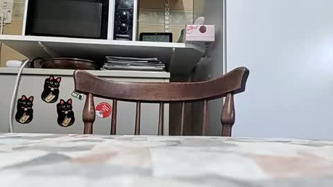 robke1966 online show from March 24, 6:51 am