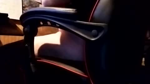 Robo Nuts online show from November 20, 6:35 am