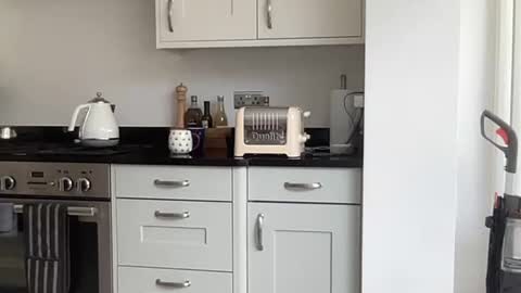 Robs sensuous cam for discerning ladies online show from September 12, 11:10 am