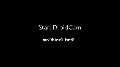 rojobob online show from November 4, 1:05 am