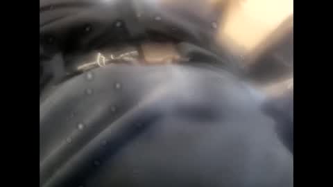 rollino83 online show from November 9, 8:45 am