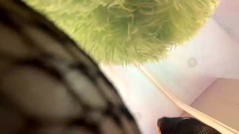 Snapshot of roman_chase chatting on November 13, 11:42 am online show from November 13, 11:42 am