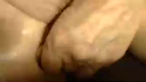 romantiko9 online show from June 13, 5:33 pm