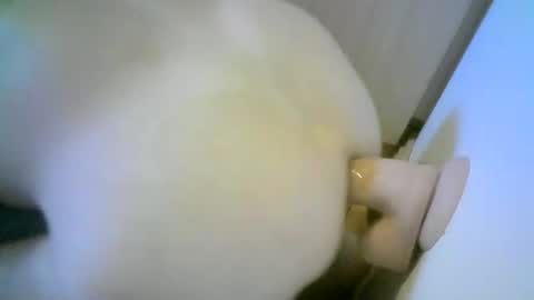 Snapshot of romson998181 chatting on November 1, 8:27 am romson998181 online show from November 1, 8:27 am