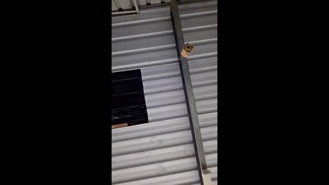 Snapshot of ronabater chatting on January 11, 8:36 pm ronabater online show from January 11, 8:36 pm