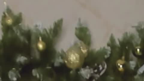 Chloe online show from December 27, 10:05 pm