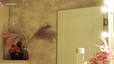 Snapshot of rosaliefetish chatting on November 21, 6:28 pm Rosalie online show from November 21, 6:28 pm