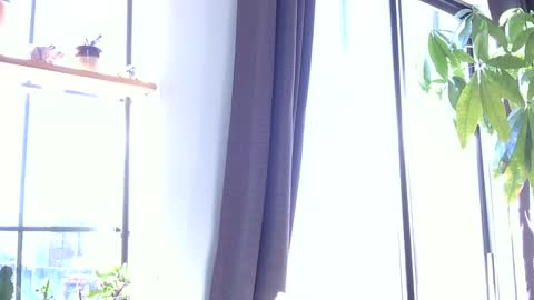 RossCollab online show from January 19, 1:26 pm