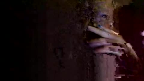 Snapshot of rotorranch chatting on October 2, 6:31 am rotorranch online show from October 2, 6:31 am