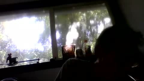 Snapshot of royboy2561 chatting on May 26, 11:23 pm Roy Murrin online show from May 26, 11:23 pm