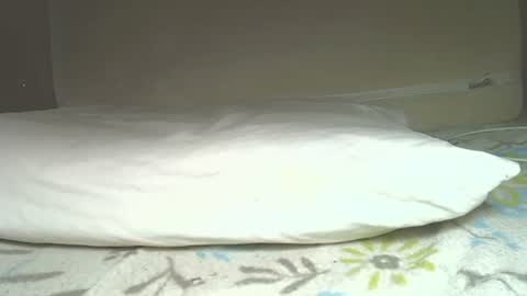 rudisuzzy 1 online show from April 4, 10:13 am