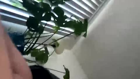 rula___1 online show from February 4, 10:47 pm