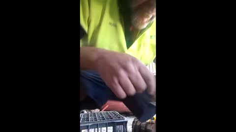 Snapshot of rustynuts95716 chatting on March 20, 4:50 am rustynuts95716 online show from March 20, 4:50 am