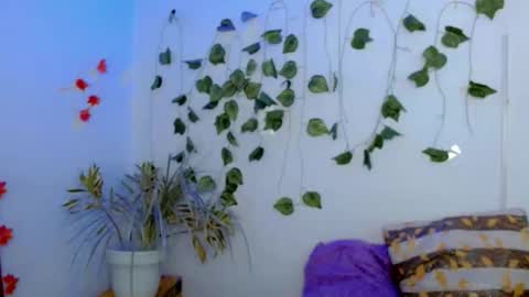 SABRI online show from February 22, 3:21 pm