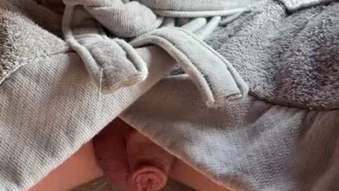 Snapshot of saconuts chatting on February 13, 8:54 am saconuts online show from February 13, 8:54 am