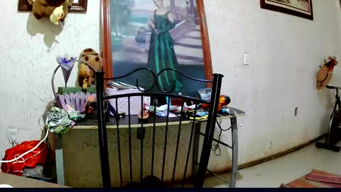 Snapshot of sailor_ruby7 chatting on October 2, 9:11 pm ruby  chocoholic cakeholic coffeeholic cookieholic online show from October 2, 9:11 pm