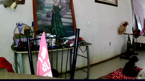 Snapshot of sailor_ruby7 chatting on October 10, 10:42 pm ruby  chocoholic cakeholic coffeeholic cookieholic online show from October 10, 10:42 pm