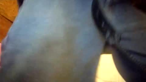 Penoso online show from December 23, 2:31 am