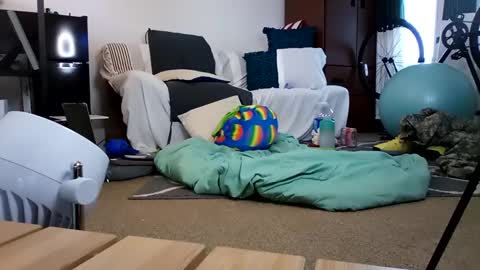 salis1981 online show from February 19, 12:35 am