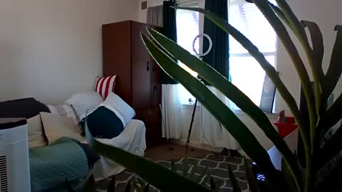 salis1981 online show from March 3, 5:39 pm