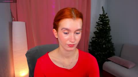 Snapshot of sallybiscuit chatting on December 5, 10:33 am Sally  online show from December 5, 10:33 am