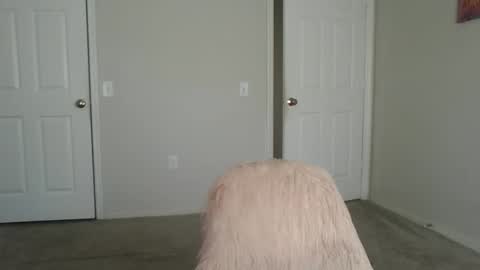 Snapshot of samanthaporsha chatting on September 15, 1:55 pm samanthaporsha online show from September 15, 1:55 pm