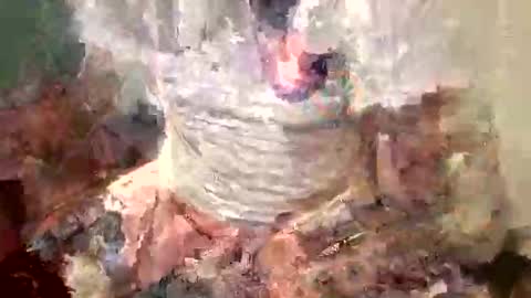 Snapshot of samboiamtho chatting on November 1, 1:07 am samboiamtho online show from November 1, 1:07 am