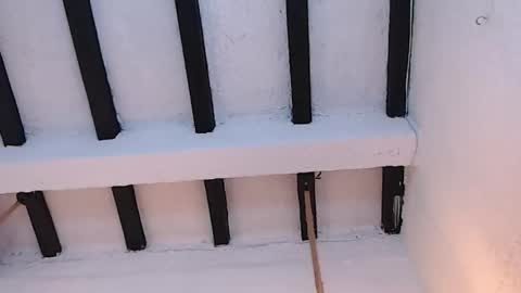 Sammy  online show from February 20, 2:30 am