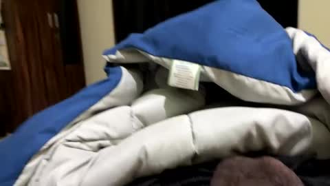 Snapshot of samnivin chatting on December 1, 7:19 pm samnivin online show from December 1, 7:19 pm