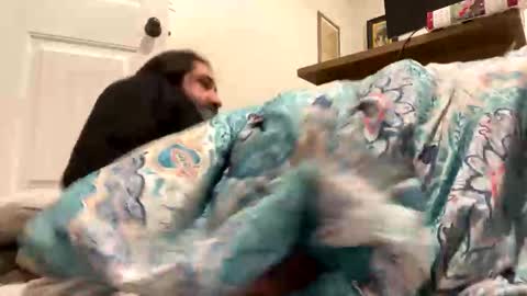 crazy runt online show from December 17, 7:14 am