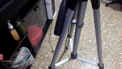 sara_salgado online show from February 11, 11:04 am