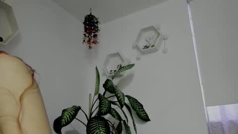 Saray  online show from February 5, 11:20 pm