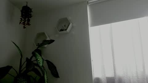 Saray  online show from February 9, 9:41 pm