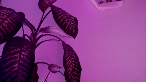 Saray  online show from March 24, 4:17 am