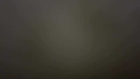 Snapshot of sarcosuchus chatting on February 1, 4:38 pm TeaseHisDick online show from February 1, 4:38 pm