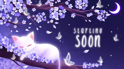 Sassy Sami Kittyn online show from September 22, 5:31 am