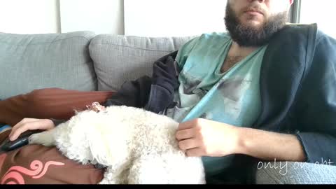 Ben online show from December 11, 10:16 pm