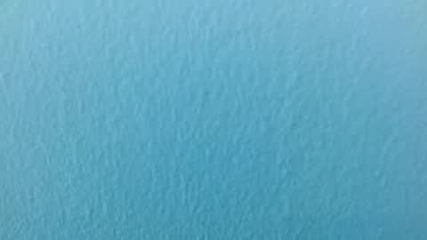 scarlet771776 online show from November 29, 8:12 pm