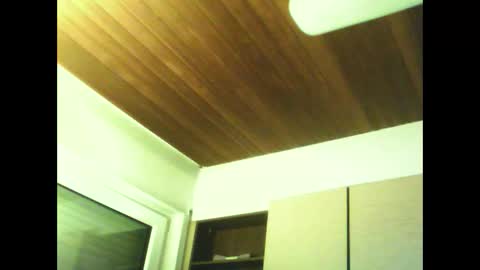 schnibschnab online show from February 10, 12:26 am