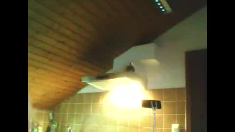 schnibschnab online show from February 26, 2:54 am