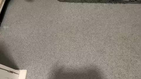 scottyc48 online show from January 12, 3:17 pm