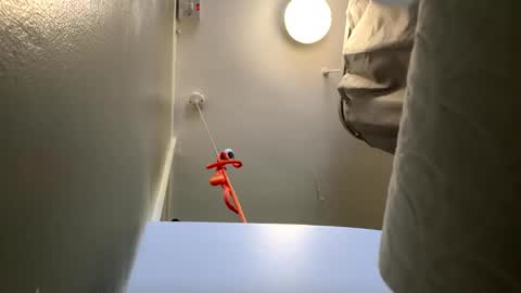 scottyc48 online show from April 9, 1:27 pm