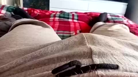 Snapshot of scotycar0408 chatting on March 17, 10:18 am scotycar0408 online show from March 17, 10:18 am