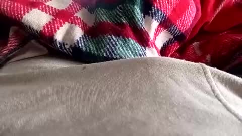 Snapshot of scotycar0408 chatting on March 20, 8:08 am scotycar0408 online show from March 20, 8:08 am