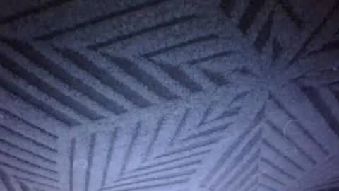 Sunny online show from March 21, 4:10 pm