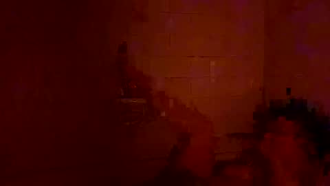 Tara online show from December 25, 2:25 am