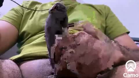 Snapshot of sexmachine4ubabes chatting on December 9, 3:50 am sexmachine4ubabes online show from December 9, 3:50 am